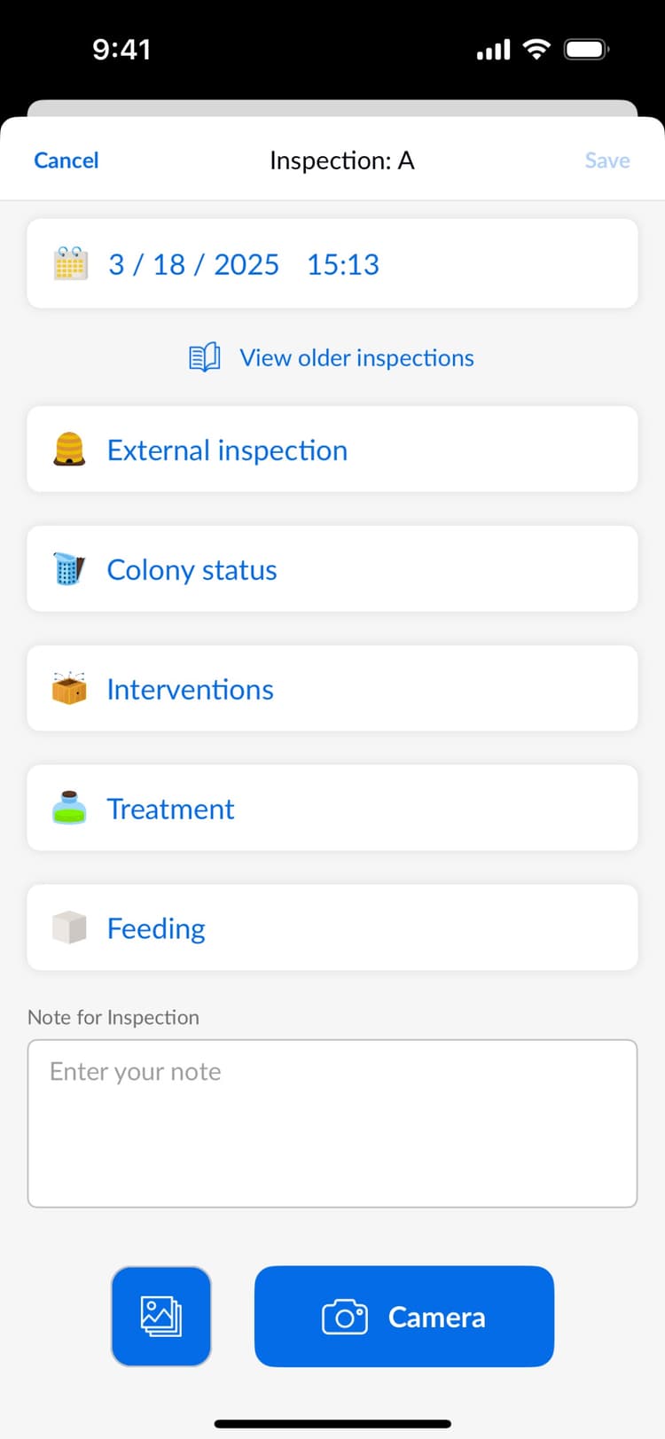 Beentry inspection record preview