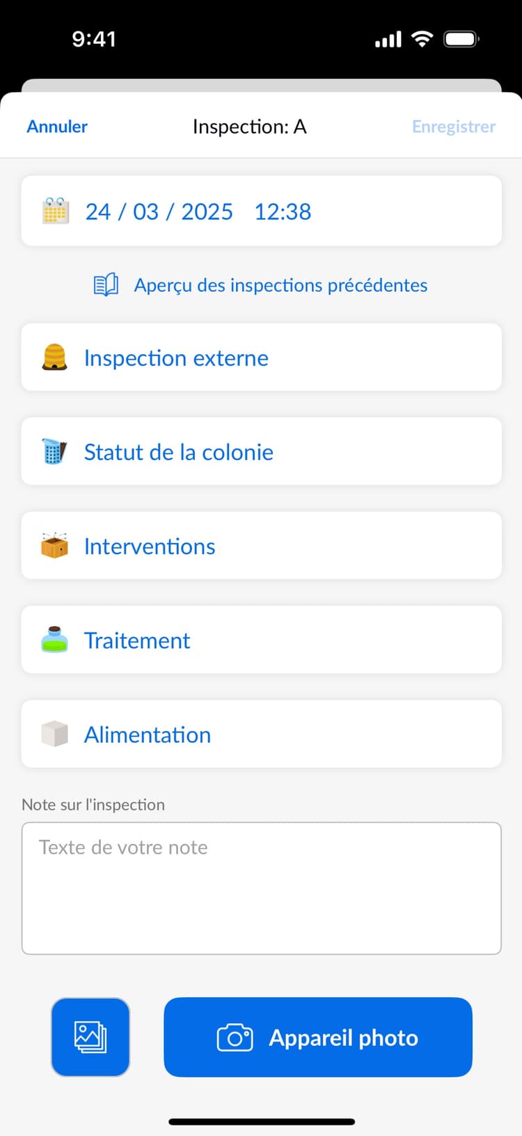 Beentry inspection record preview