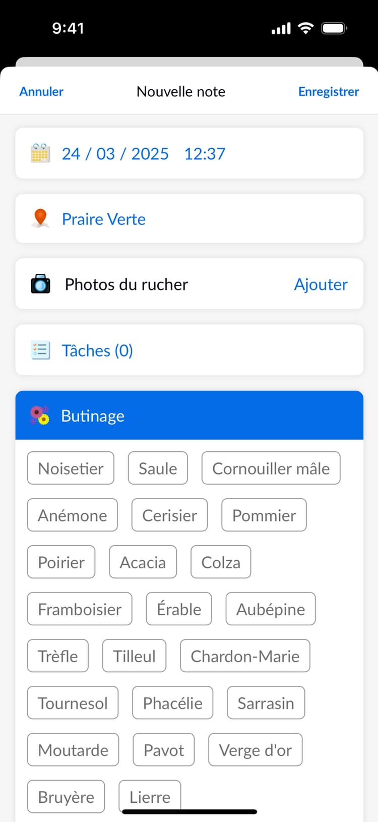 Beentry mobile record form preview