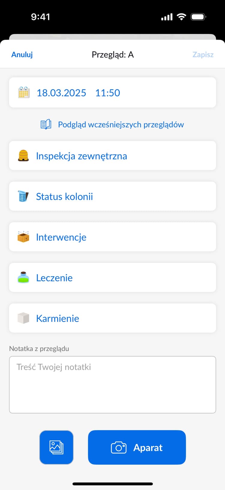 Beentry inspection record preview