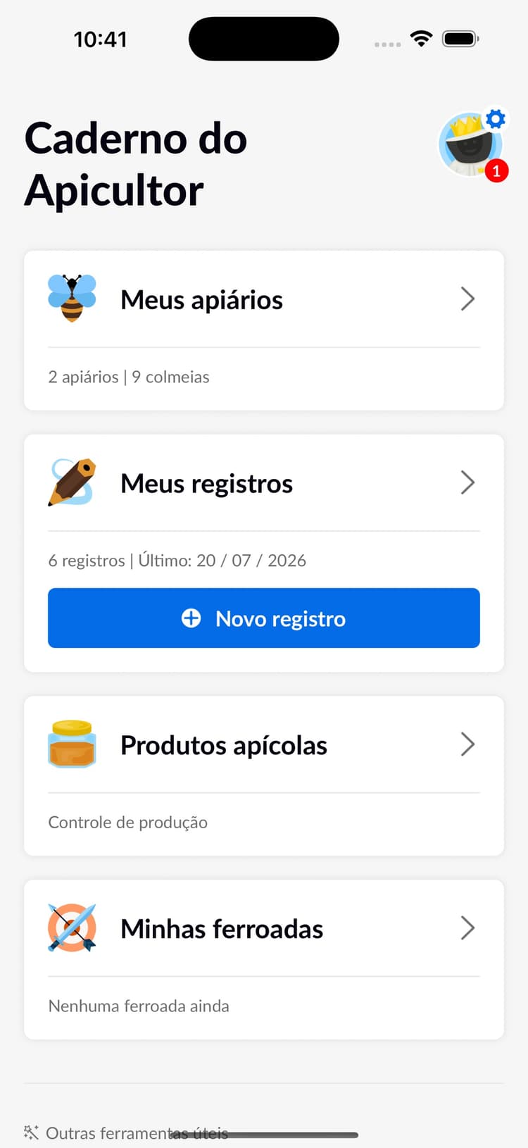 Beentry mobile dashboard preview