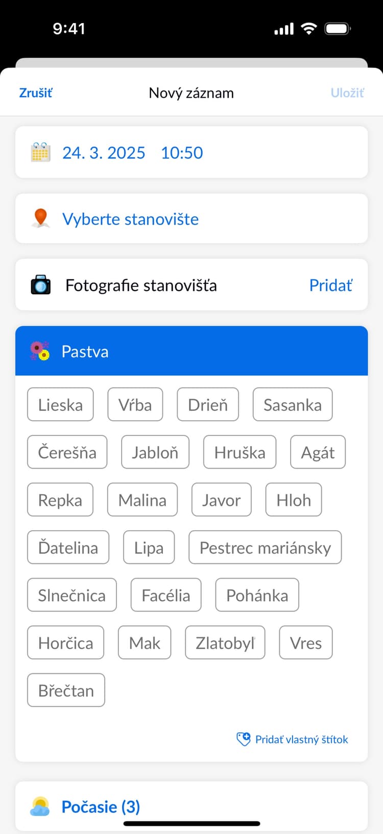 Beentry mobile record form preview