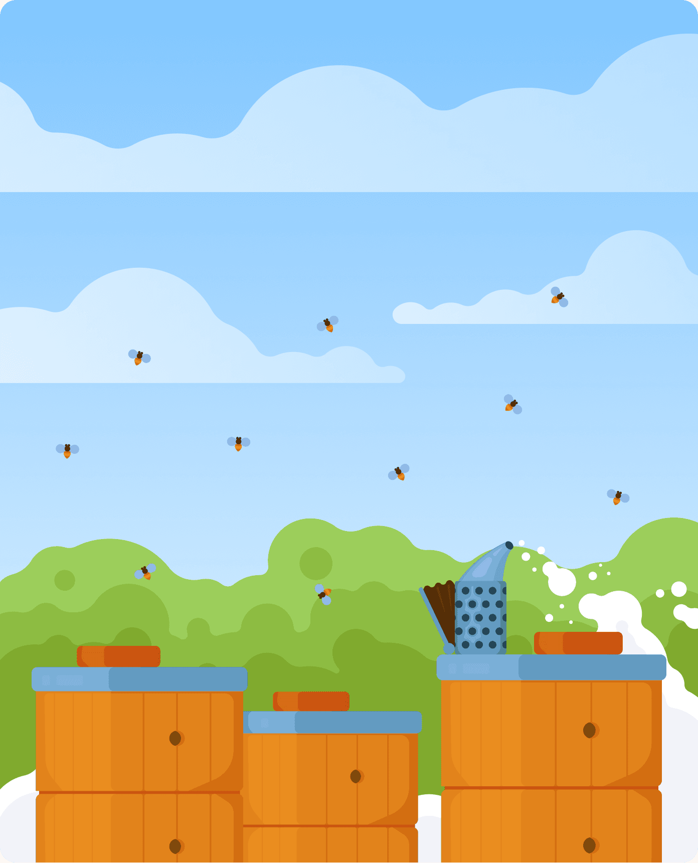 Beentry login preview