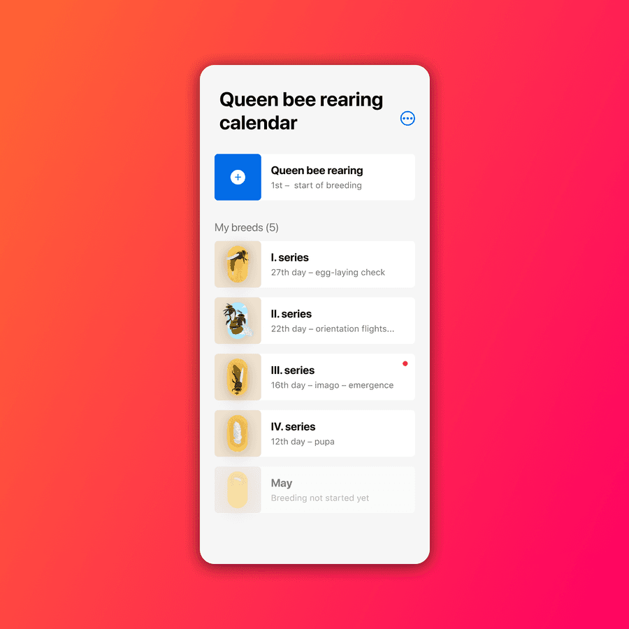 Od jajka do królowej pszczół