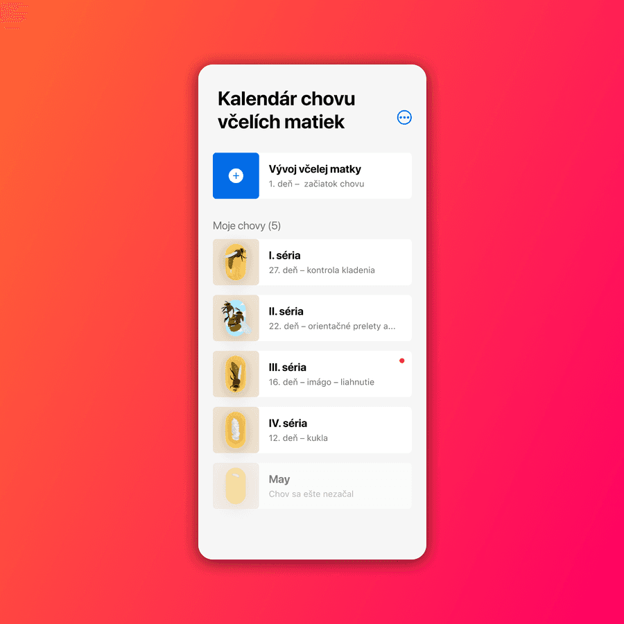 Od vajíčka až po včeliu matku