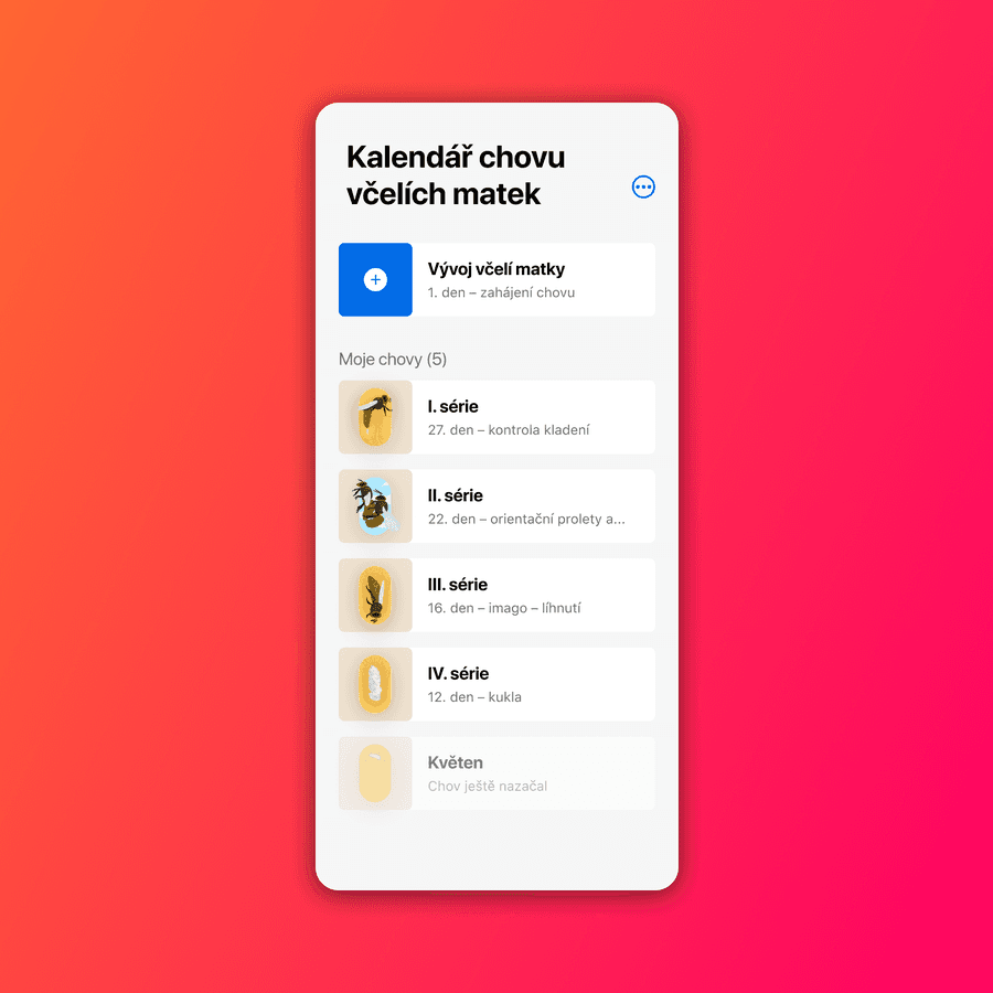 Od vajíčka až po včelí matku